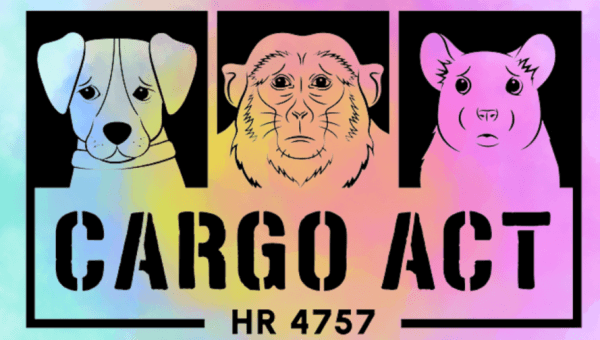 a logo for the CARGO act showing a sad dog, monkey, rat in boxes