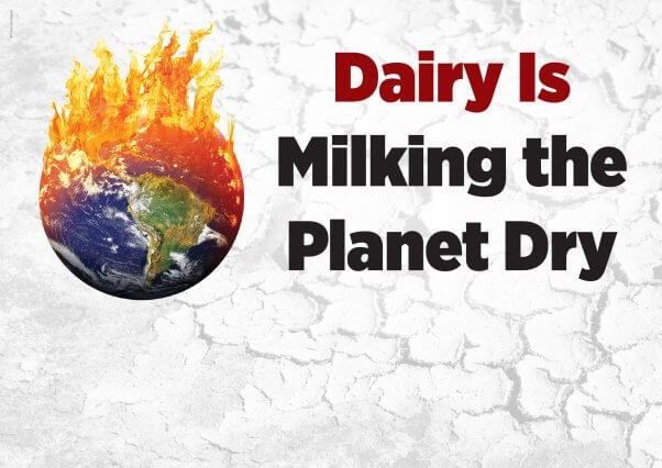 Globe on fire next to text "Dairy Is Milking the Planet Dry"