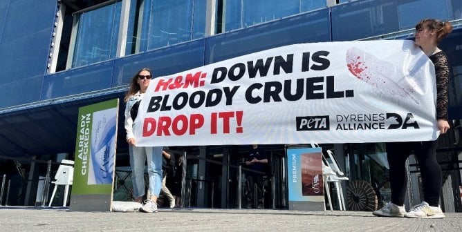protestors hold sign that says "down is bloody cruel" at H&M demo in copenhagen