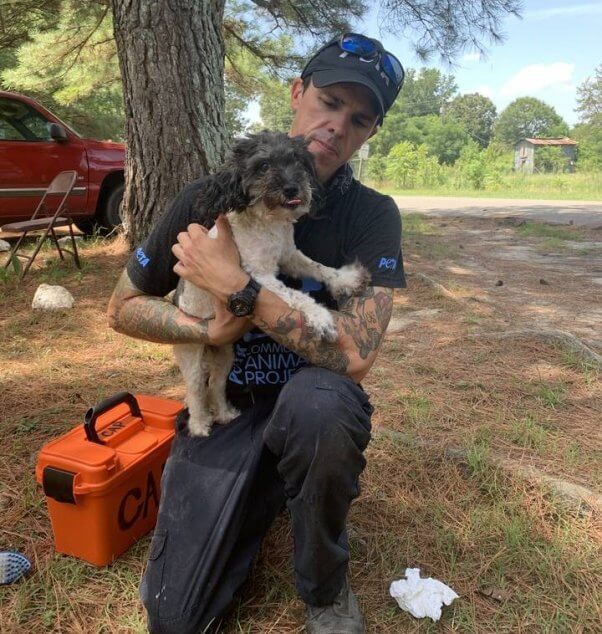 Ada, a small black and white dog, is held by a PETA fieldworker