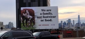 Billboard featuring a cow and her calf with text reading we are a family, not footwear or food. Go vegan