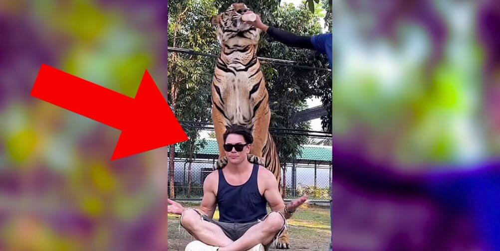 PETA Angry at Tom Sandoval for Posing With Tiger in Thailand