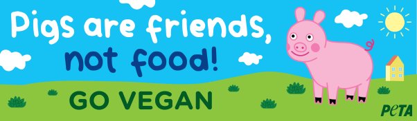 Illustration of a pig with text reading pigs are friends, not food! Go vegan