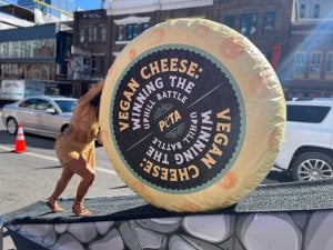 sisyphus cheese wheel pushed uphill