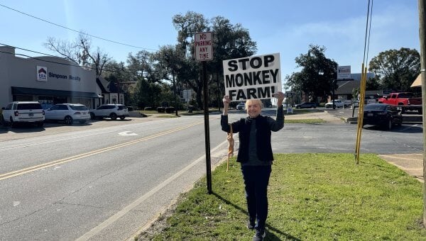 Demonstrator holding a "Stop Monkey Farm" sign on a roadside