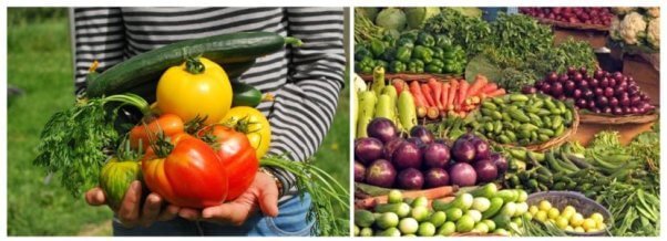 side-by-side of images showing someone holding vegetables on the left and trays of vegetables like at a market on the right