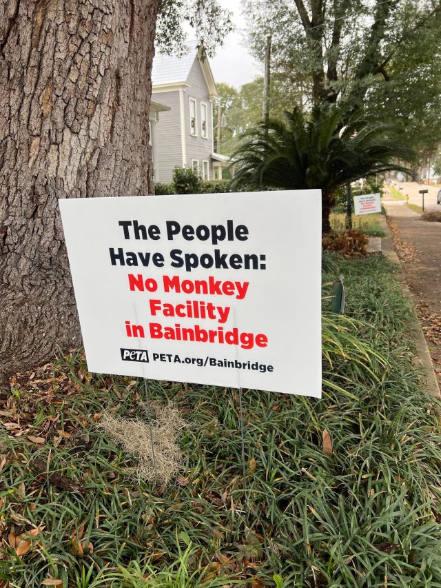 Campaign Updates: Colossal Monkey Prison Proposed in Bainbridge ...