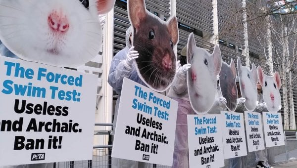 PETA UK supporters demand that the Home Office abolish the forced swim test.