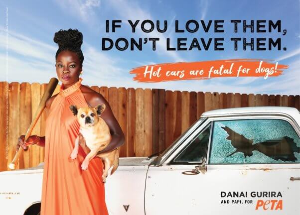 Danai Gurira holds a baseball bat and a dog in front of a car with a broken window