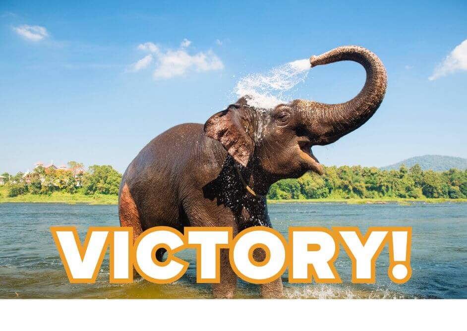 Victory! Hadi Shrine Circus Drops Elephant Acts | PETA