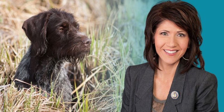 This Kristi Noem Halloween Costume Is a Blast | PETA