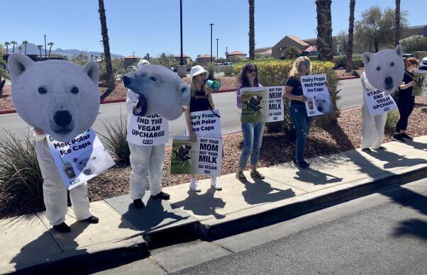 PETA "polar bears" outside Starbucks in Henderson, NV. "Starbucks: end the vegan upcharge."