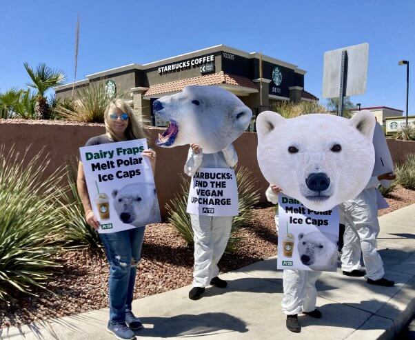PETA "polar bears" outside Starbucks in Henderson, NV. "Starbucks: end the vegan upcharge."