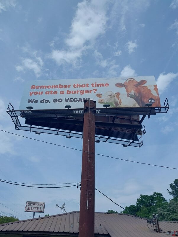 Photo of a billboard featuring two cows and text reading "Remember that time you ate a burger? We do. Go Vegan"