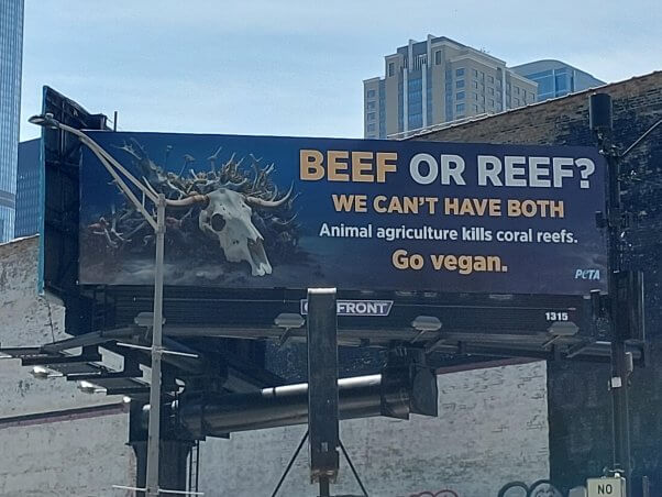 PETA's 'Beef or Reef' ad on a billboard in Chicago
