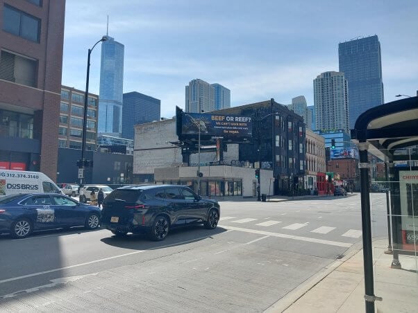 PETA's 'Beef or Reef' ad on a billboard in Chicago, with skyscrapers behind it