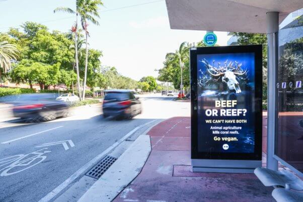 PETA's 'Beef or Reef' ad at a bus stop in Miami Beach