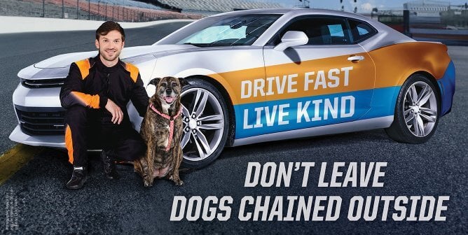 Daniel Suárez with dog next to car that says "Drive fast, live kind". Under car is the text "Don't leave dogs chained outside"
