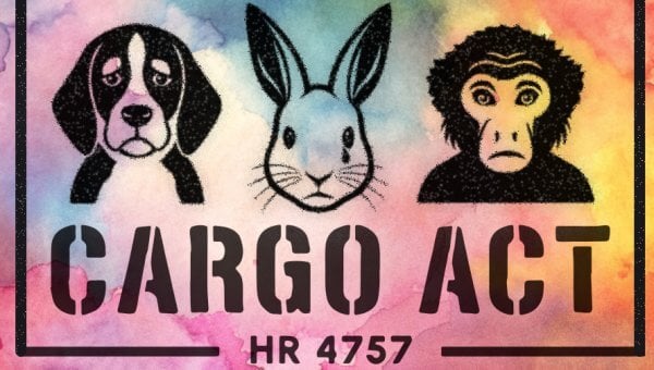 Dog, rabbit, and monkey stamp with words "CARGO ACT, HR 4757" with colorful background