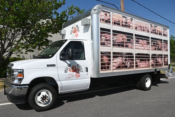 large truck with images of pigs bound for slaughter plastered on the side with a Hell on Wheels logo on the driver door