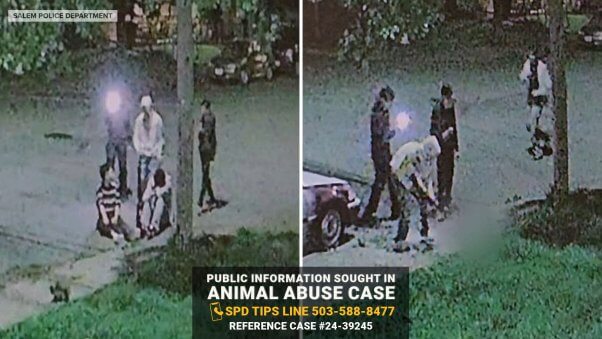 two images, showing 2nd-story surveillance footage still of four apparent teenagers on a nighttime neighborhood sidewalk. one image shows a member of the group pointing a gun at a blurred subject.

text box at the bottom reads: public information sought in animal abuse case: spd tips line 503-588-8477, reference case number twenty four dash 39245