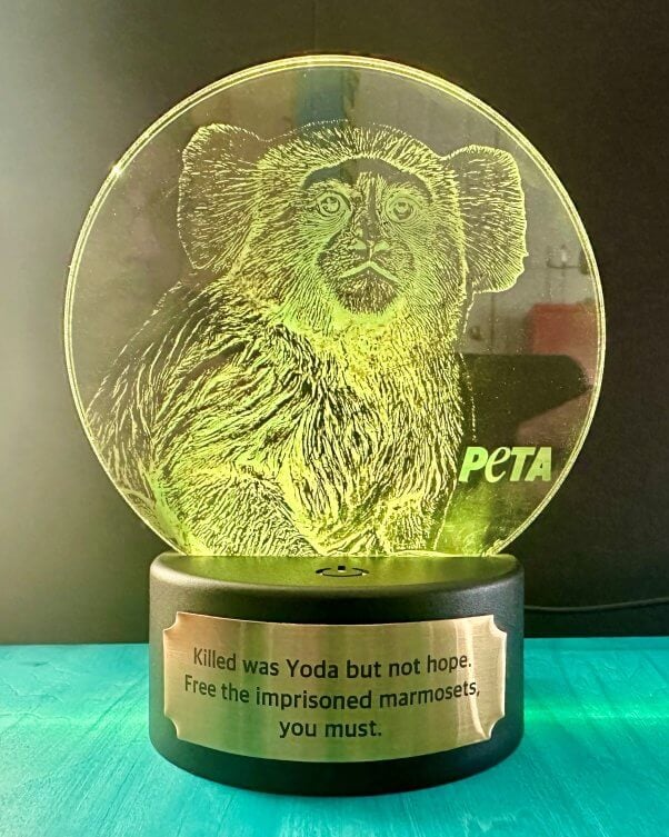 A trophy with art of a marmoset and text reading "Killed was Yoda but not hope. Free the imprisoned marmosets, you must"