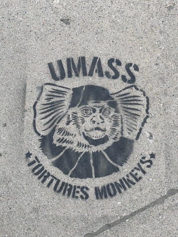 Stencil of a marmoset with text reading Umass tortures monkeys