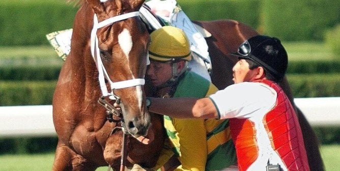 Charismatic after sustaining an injury in the Belmont Stakes