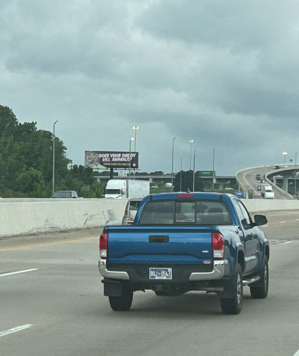 PETA's Father's Day ad on a billboard in Memphis, Tennessee, urging families not to go fishing or hunting