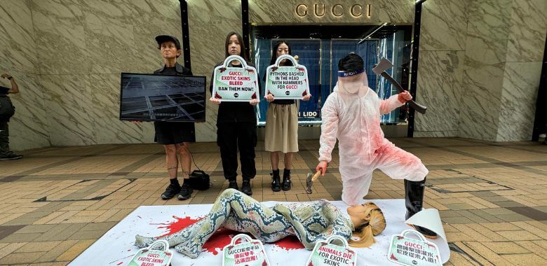 ‘Python’ Bashed With Hammer Outside Gucci Store