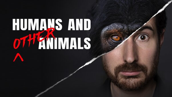 poster for the film "Humans and Other Animals"
