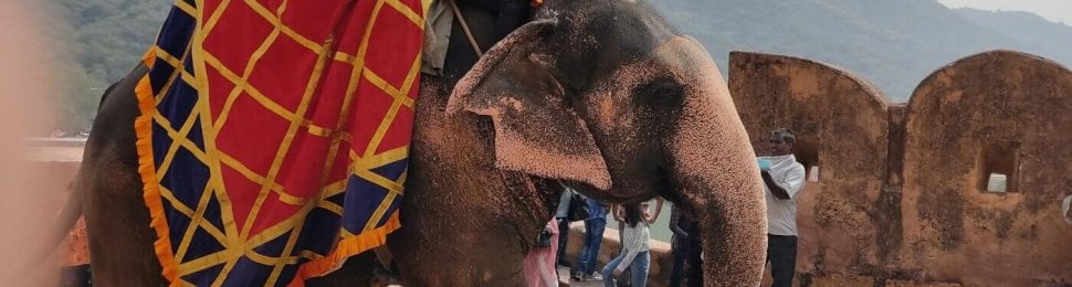 Tourists ride on an elephant's back