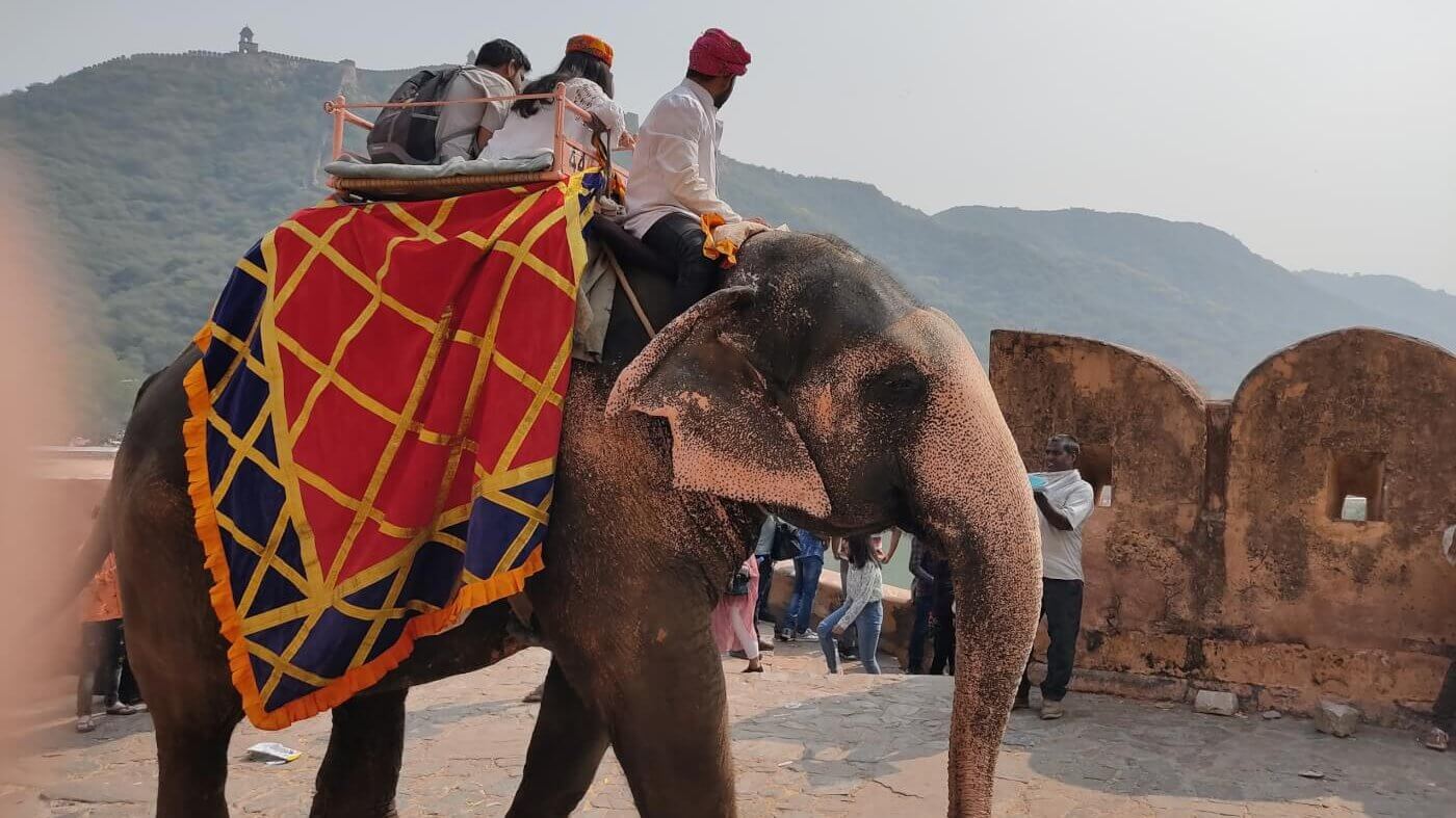 Tourists ride on an elephant's back