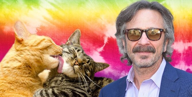 Marc Maron with cats on a tie-dye background
