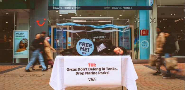 PETA U.K. Protester ‘Trapped’ in Tank Pleads With TUI