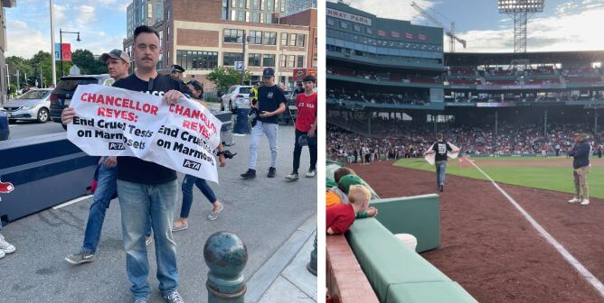 PETA Supporter Storms Field at Fenway Over Menopause Tests