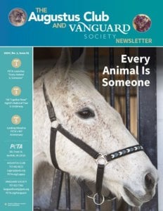 Cover of Augustus and Vanguard Society Newsletter