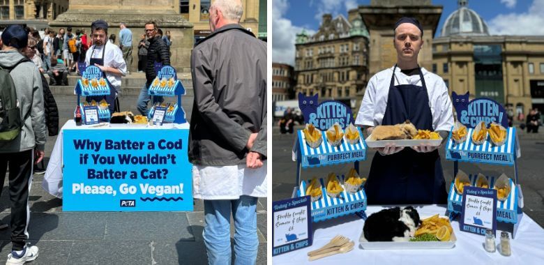 Cat or Cod? PETA U.K. Serves Up ‘Kittens’ and Chips