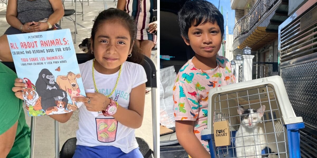 Girl holds up PETA Kids book at Cancun spay-a-thon event. Boy in Philippines holds a cage with a cat inside