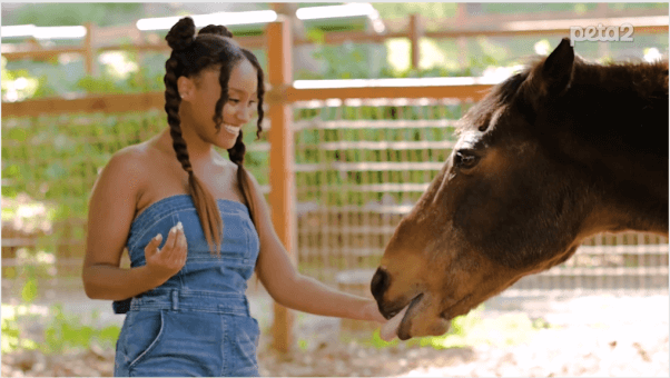 Dana Heath and Horse