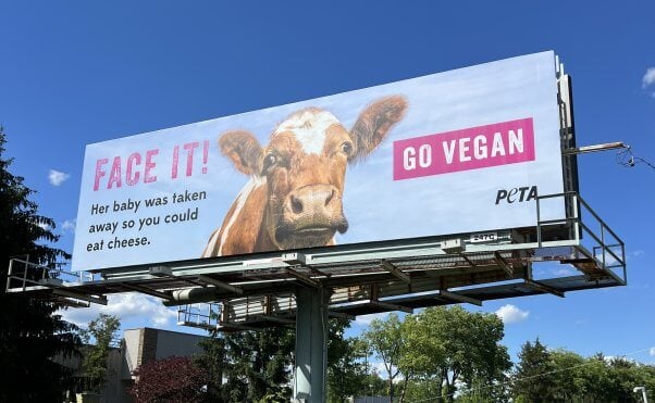 Billboard photo of a cow with text reading "Face it! Her baby was taken away so you could eat cheese. Go Vegan"