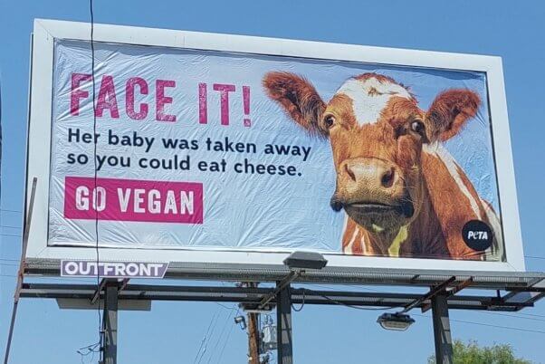 Photo of a billboard featuring a photo of a cow with text reading "Face It! Her baby was taken away so you could eat cheese. Go Vegan"