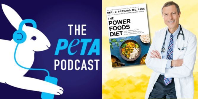 The PETA podcast logo, Dr. Neal Barnard with new book "The Power Foods Diet"