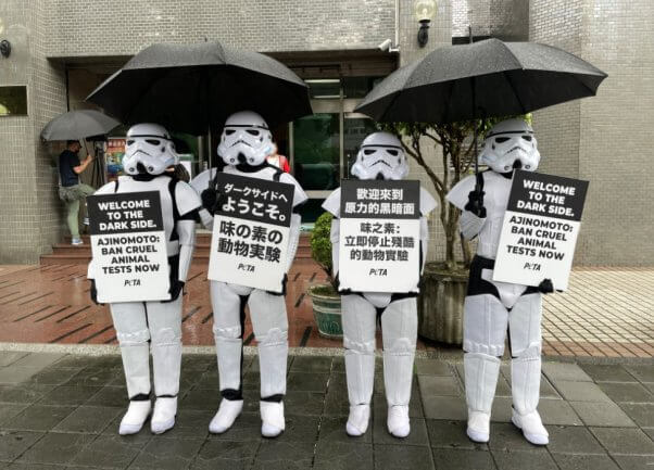 Four demonstrators in stormtrooper outfits