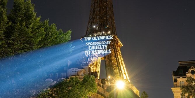 PETA UK's projection to call out LVMH at the olympics in Paris. The projection on the Eiffel Tower says "The Olympics: sponsored by Cruelty to animals"