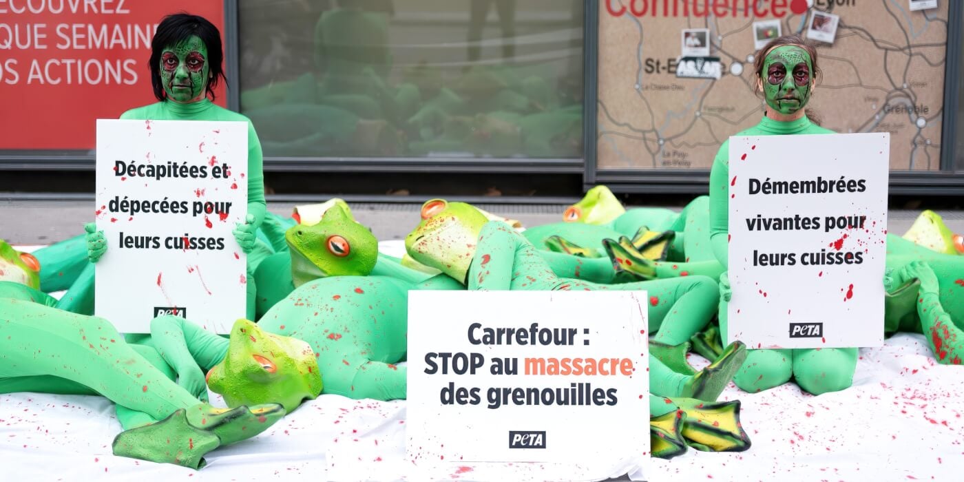 PETA supporters dressed as frogs protest Carrefour stores