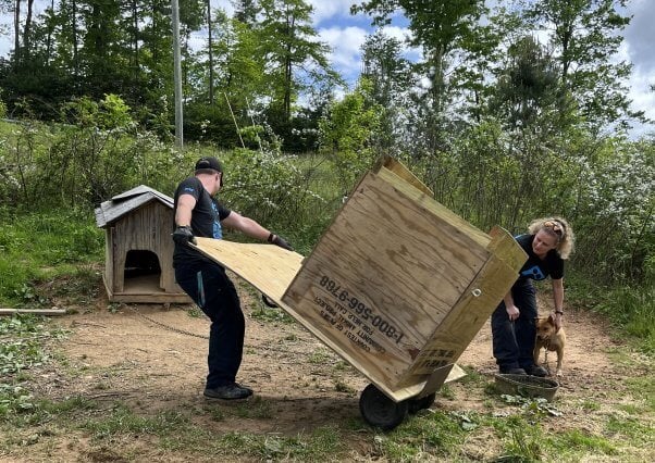 Two field workers delivering a dog house