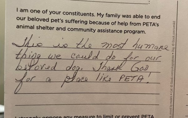 Note of support following a euthanasia. Text reads "This is the most humane thing we could do for our beloved dog. Thank God for a place like PETA!"
