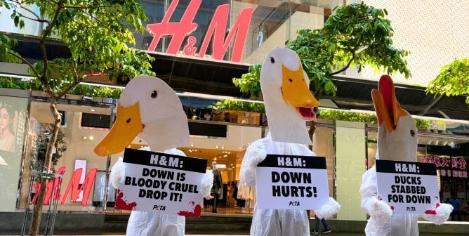 H&M feather protest PETA Asia