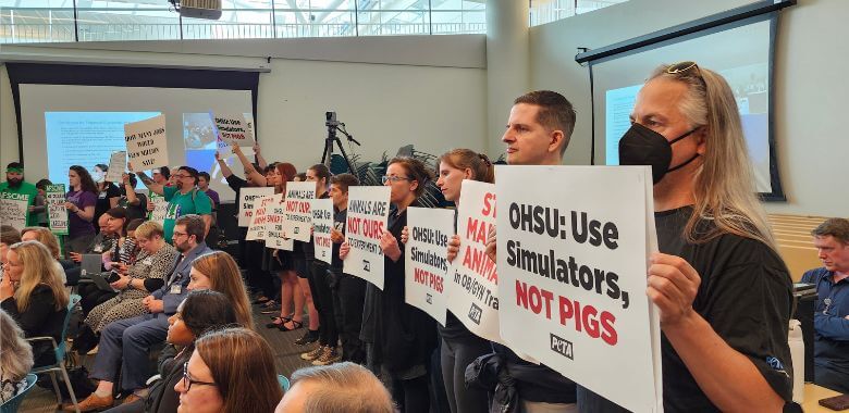 PETA Crashes Board Meeting Over Pig-Mutilation Drills